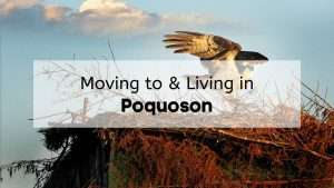 An osprey lands in her nest near Poquoson, with the text, "Moving to & Living in Poquoson," overlaid