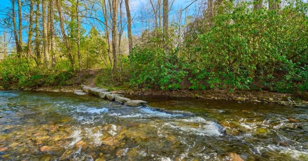 A shallow, clear river flowing over rocks with a row of large flat stepping stones crossing from the bank into the water, surrounded by lush green rhododendrons and tall trees.